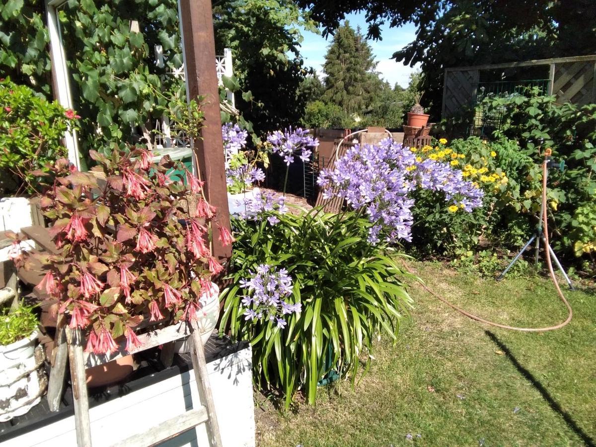 Gartenhaus Berlin Dış mekan fotoğraf